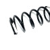 Пружина задня